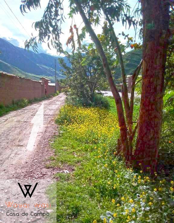 Wayqi Wasi Casa di campagna *